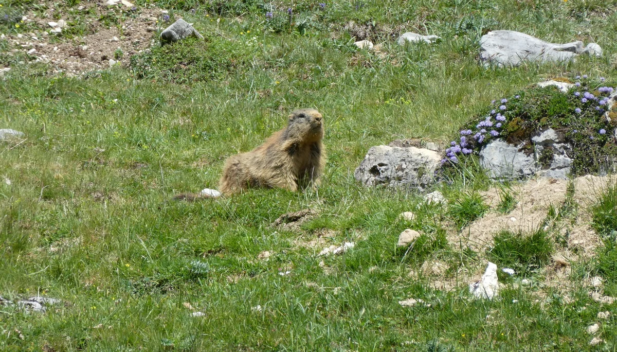 © Bergfreunde München