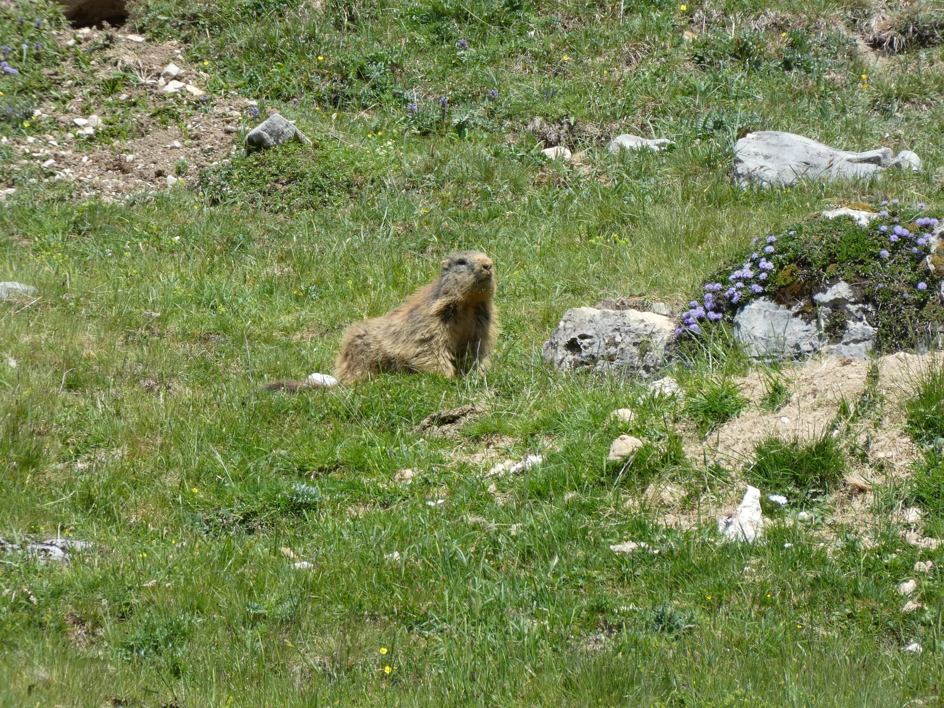 © Bergfreunde München