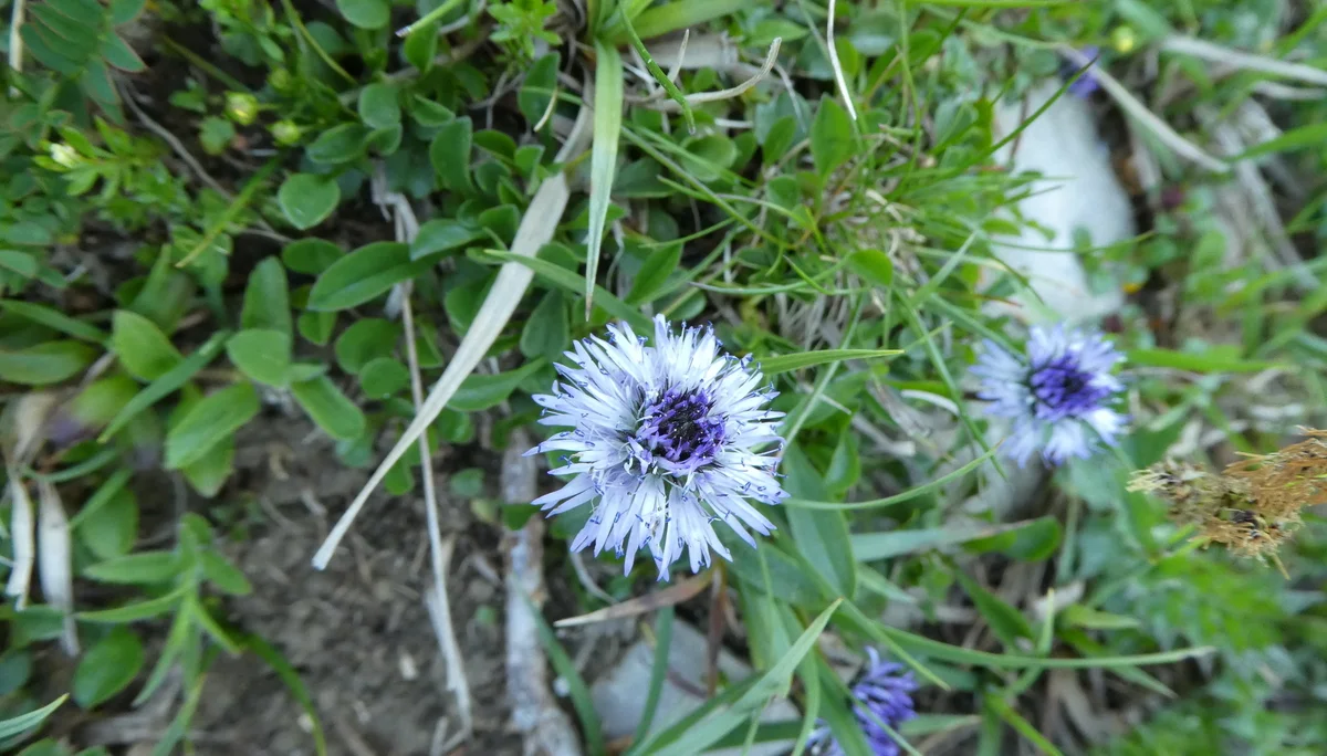 © Bergfreunde München