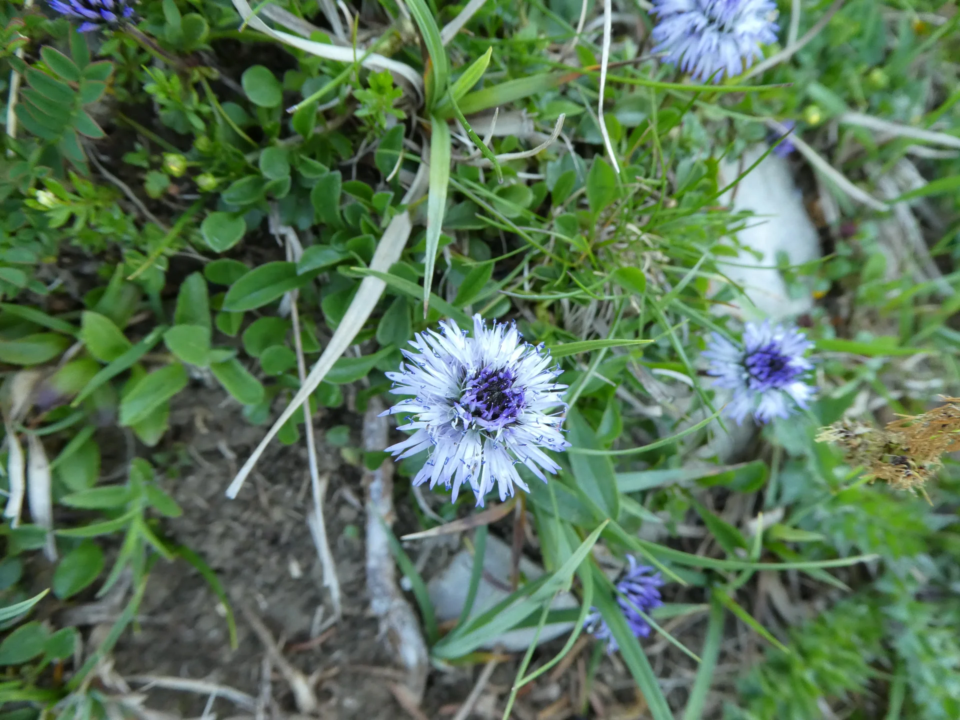 © Bergfreunde München