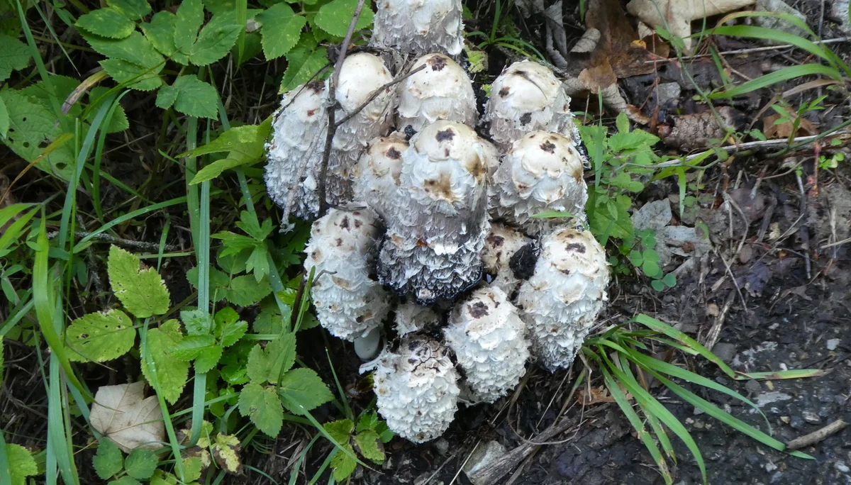 © Bergfreunde München