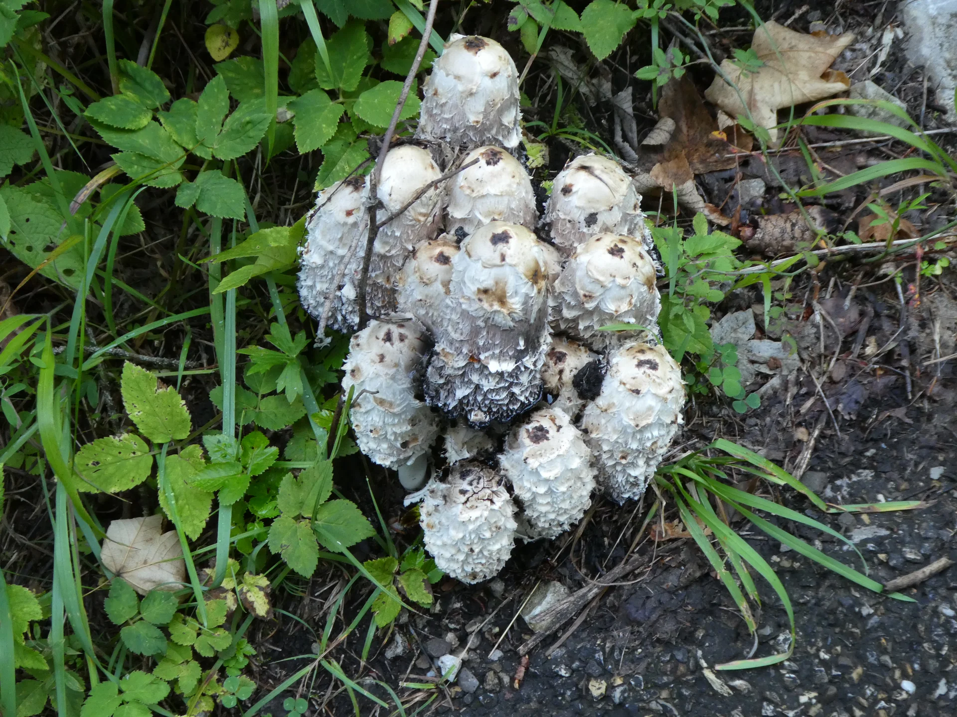 © Bergfreunde München