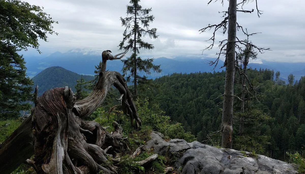 © Bergfreunde München WM