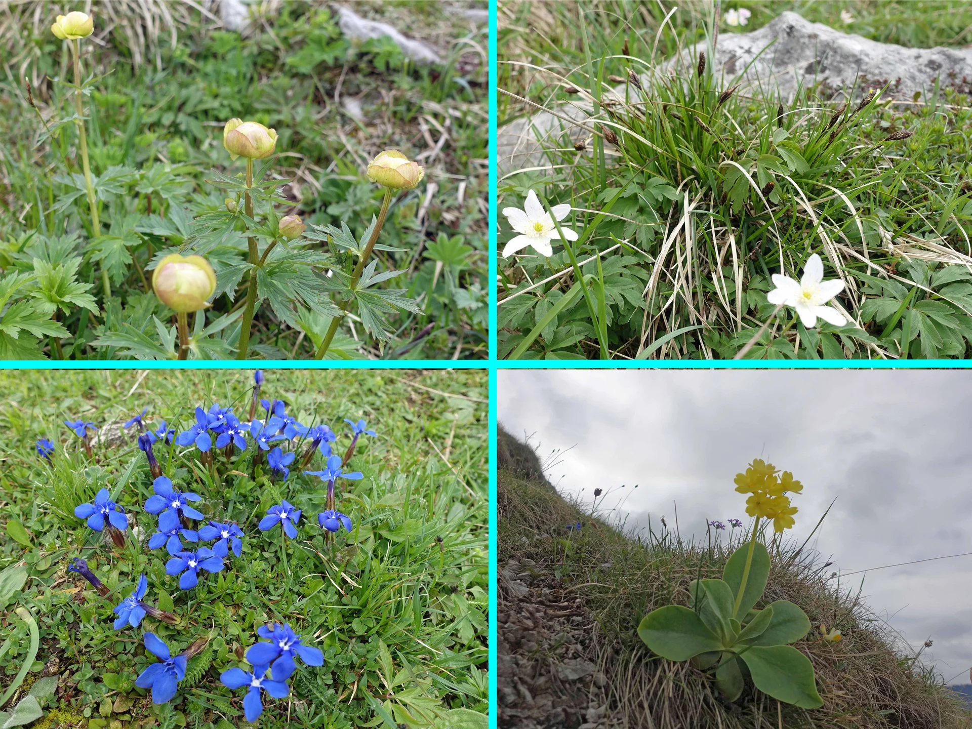 © Bergfreunde München WM