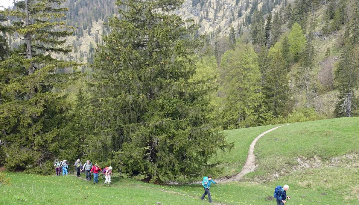 © Bergfreunde München WM