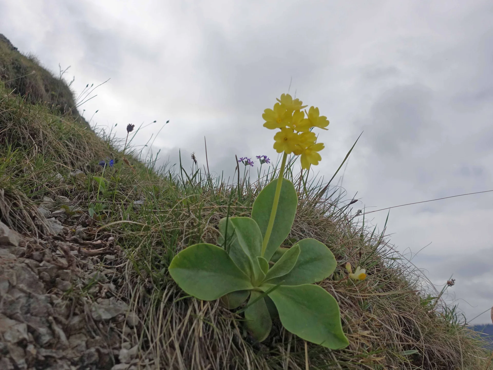 © Bergfreunde München WM