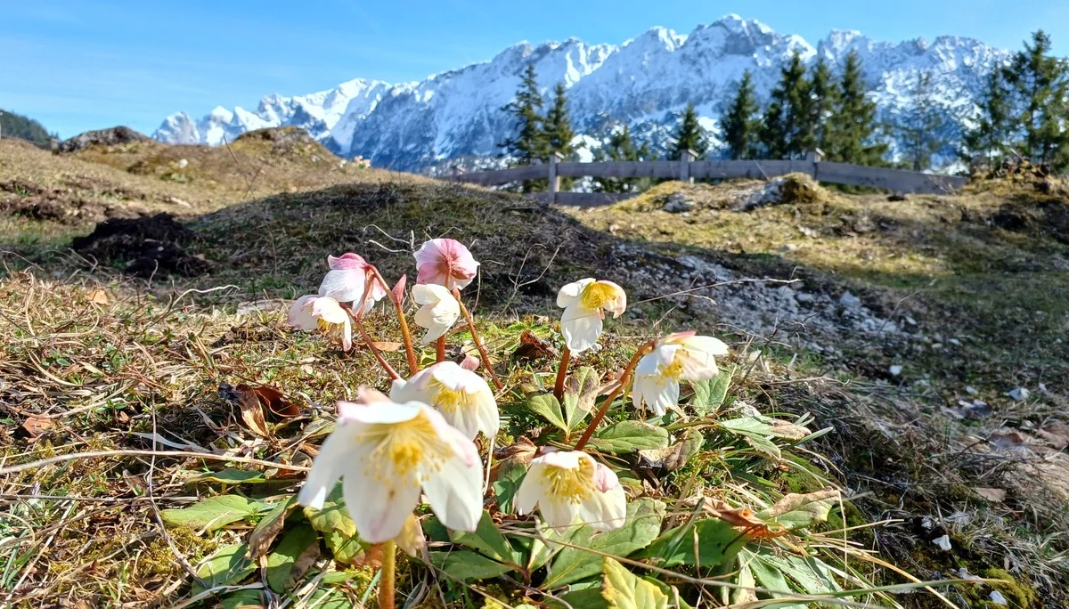 © Bergfreunde München hn