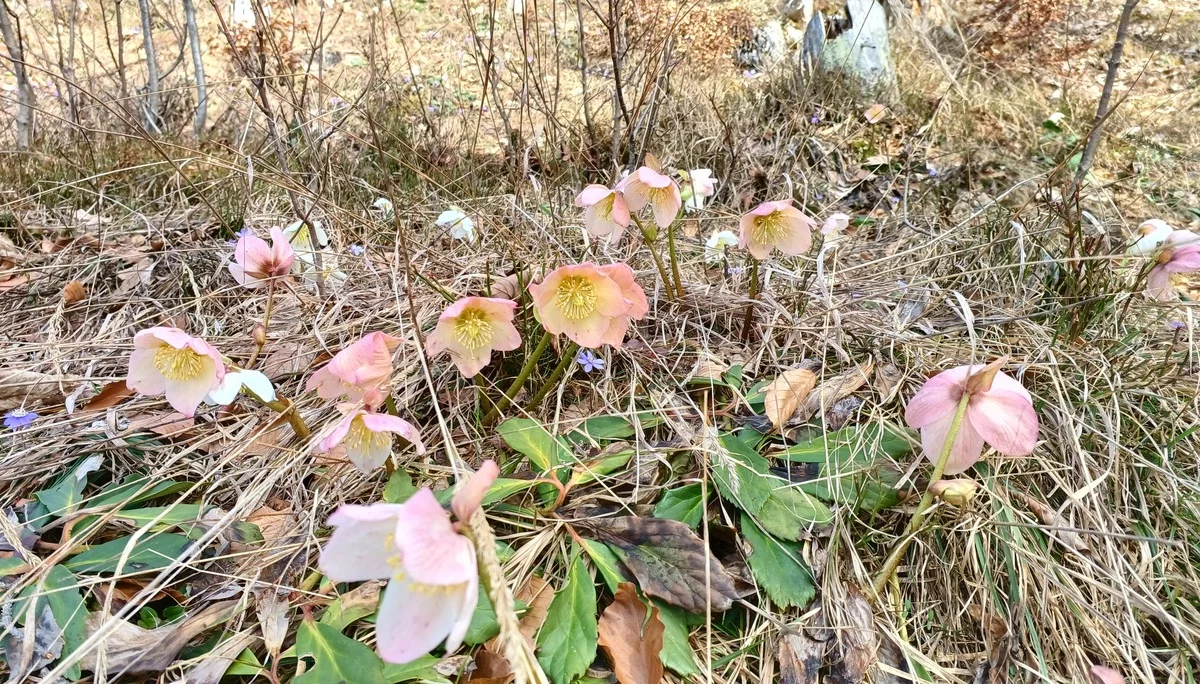 © Bergfreunde München hn