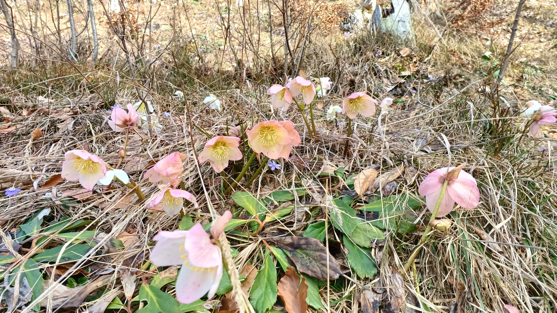 © Bergfreunde München hn