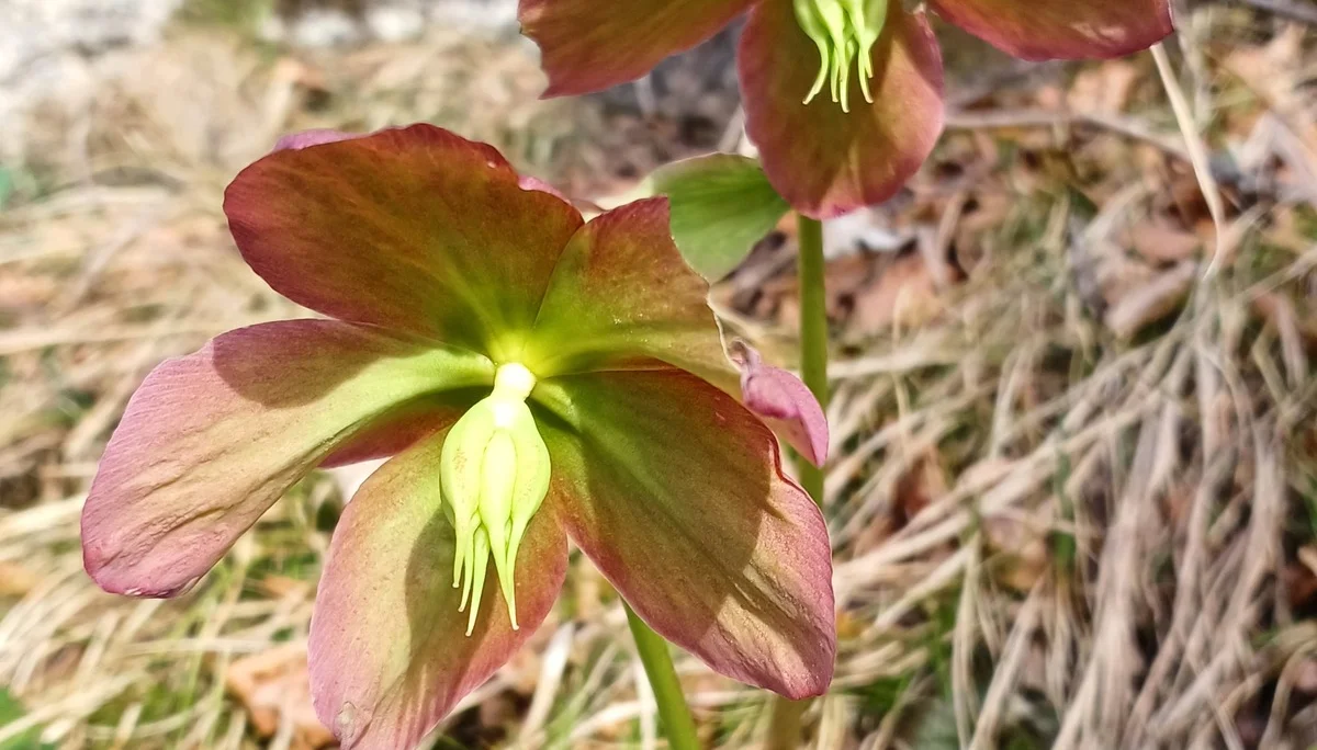 © Bergfreunde München hn