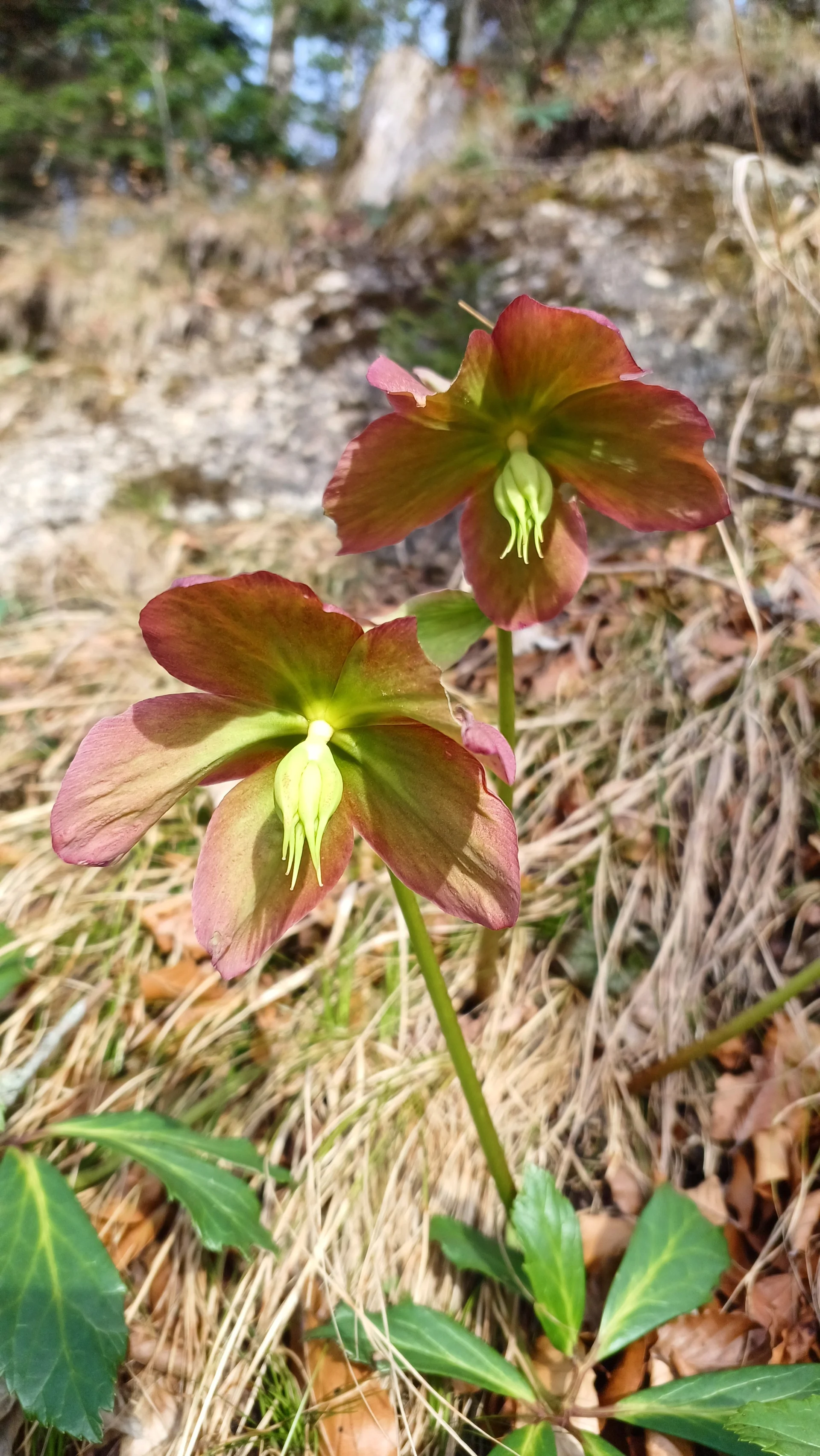 © Bergfreunde München hn