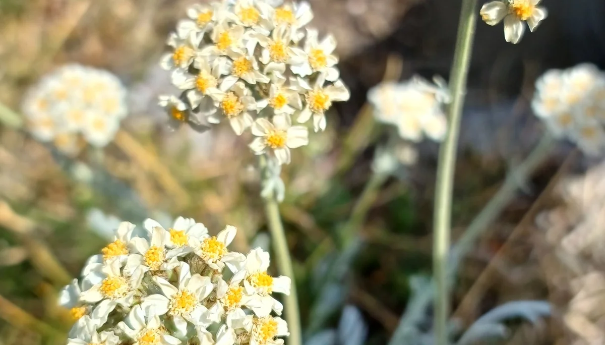 © Bergfreunde München