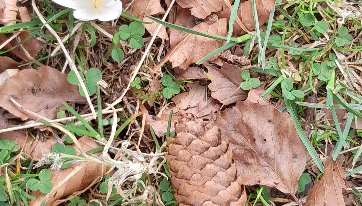 © Bergfreunde München MSS