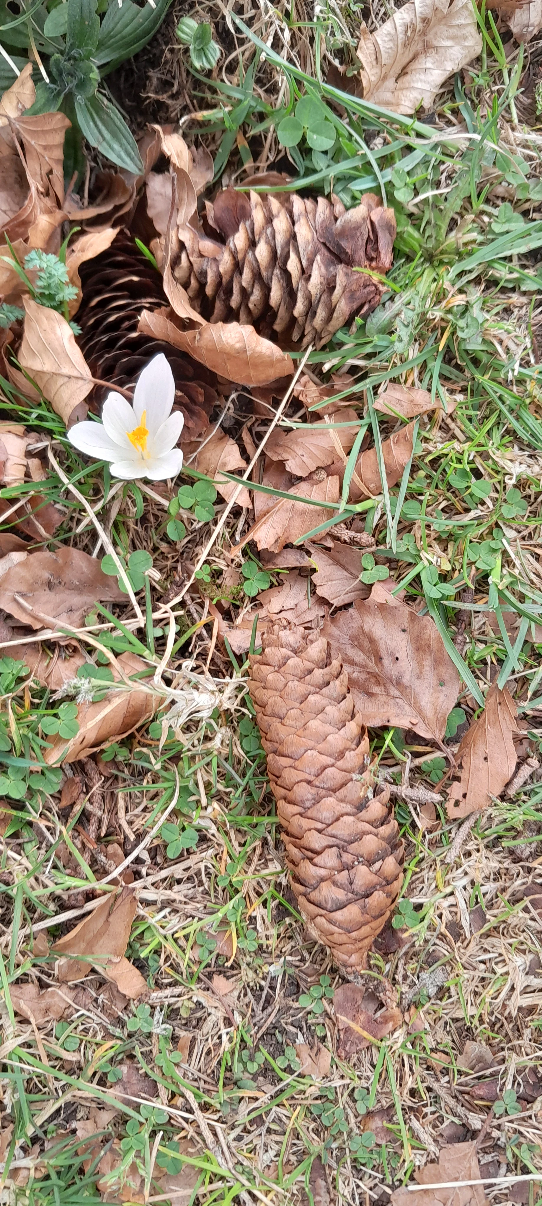 © Bergfreunde München MSS