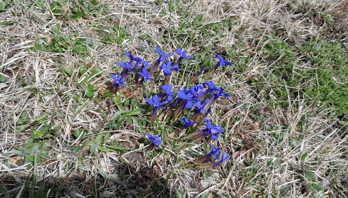 © Bergfreunde München MSS