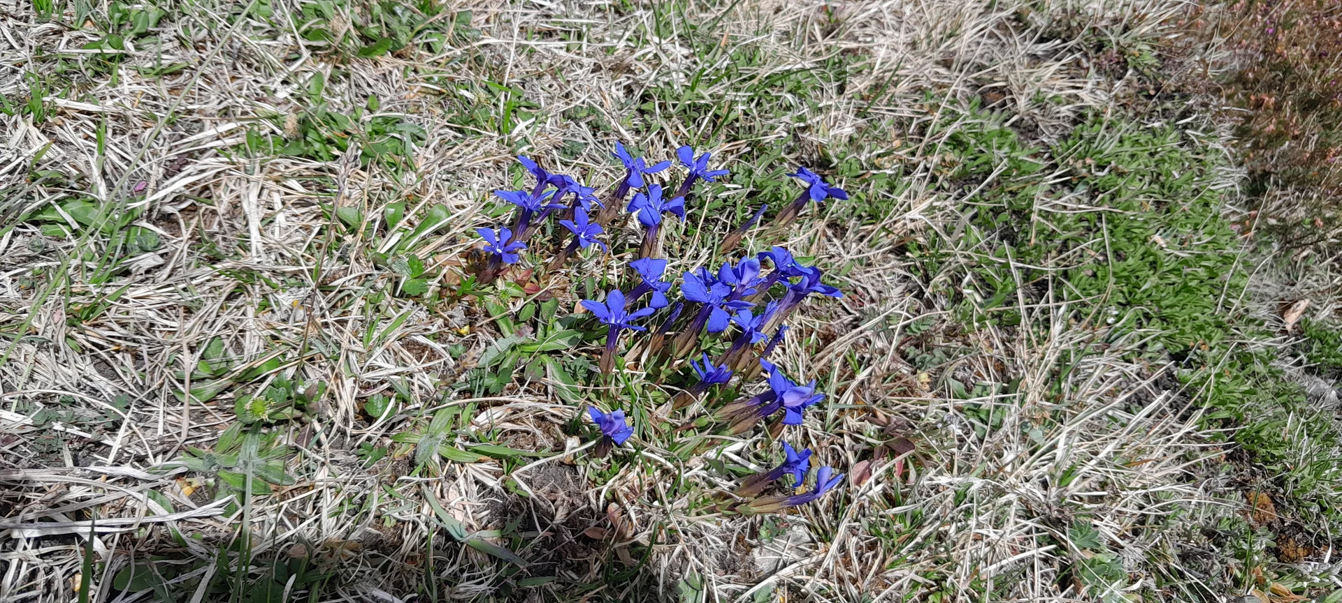 © Bergfreunde München MSS