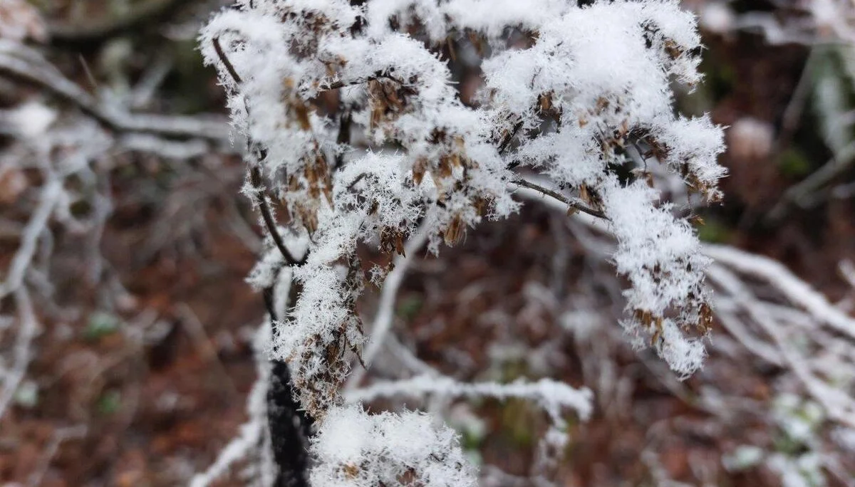 © Bergfreunde München WM