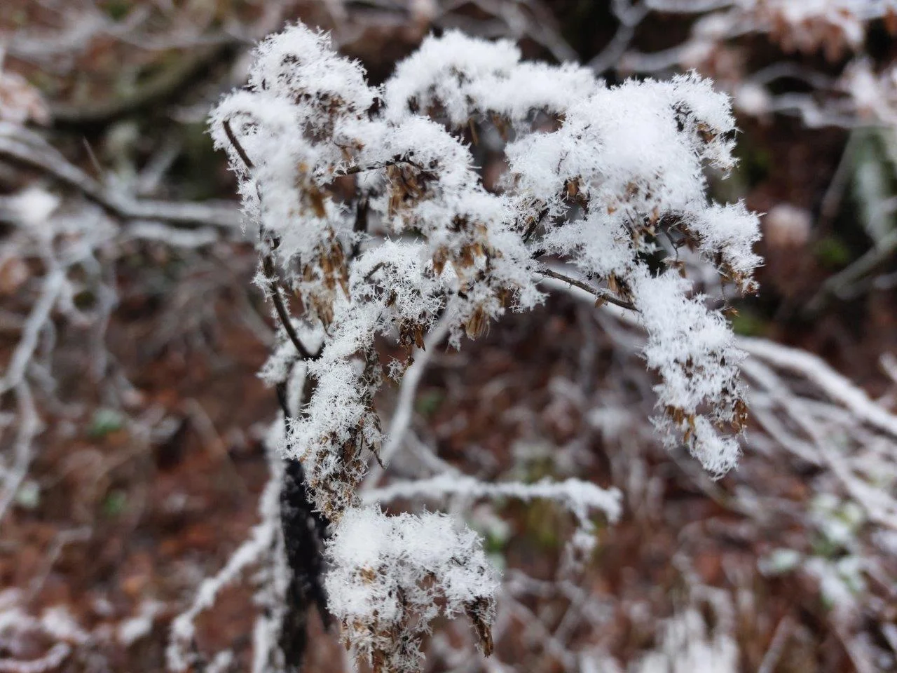 © Bergfreunde München WM