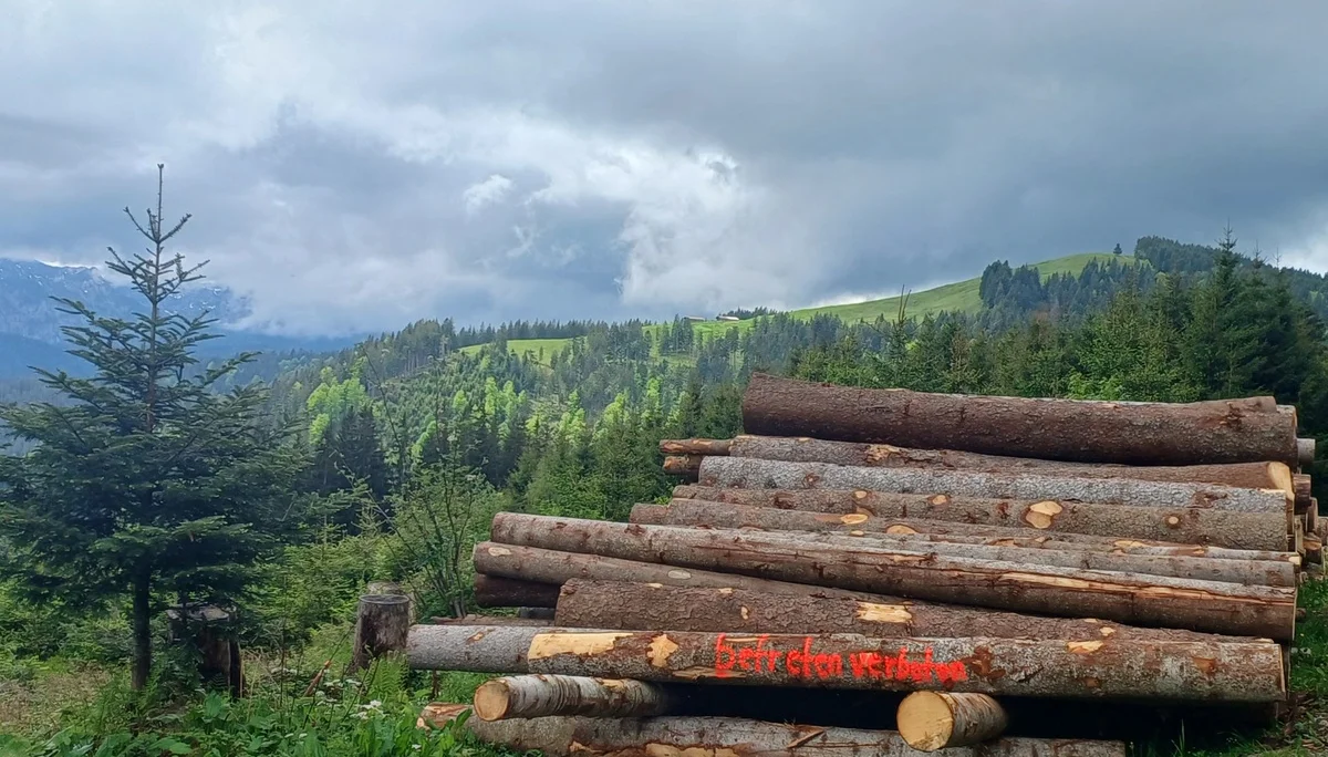 © Bergfreunde München