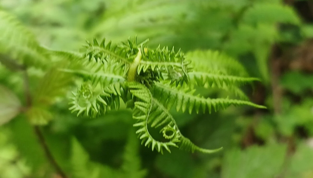 © Bergfreunde München