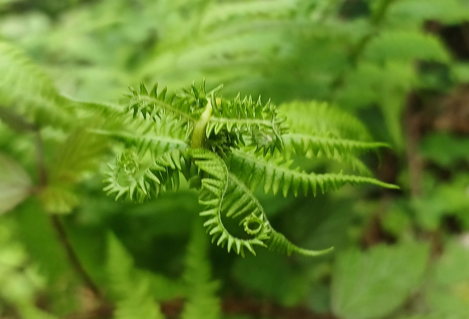© Bergfreunde München