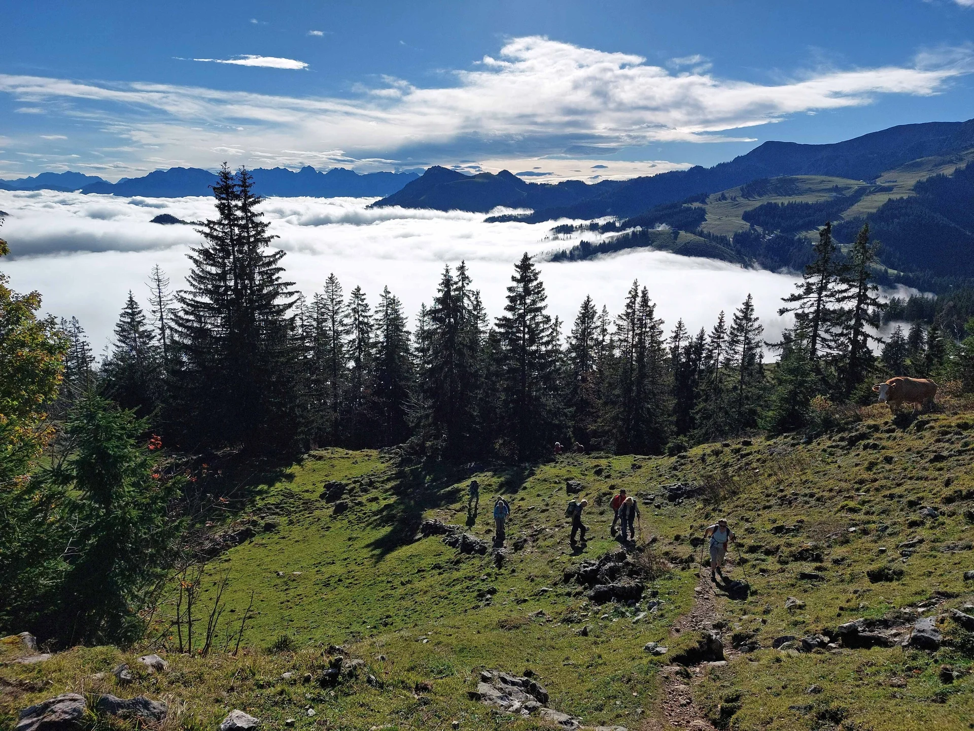 © Bergfreunde München WM