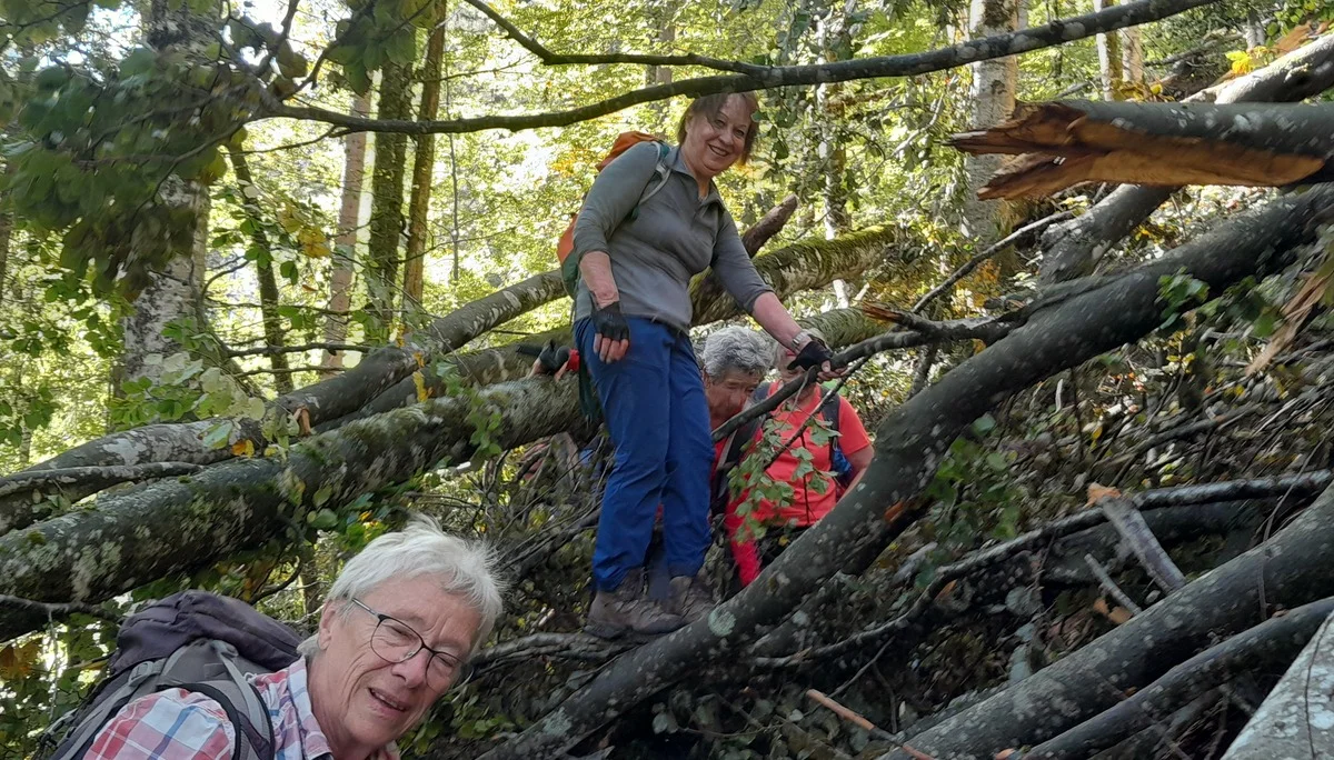 © Bergfreunde München FS