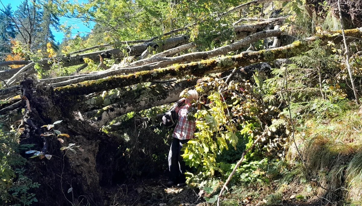 © Bergfreunde München FS