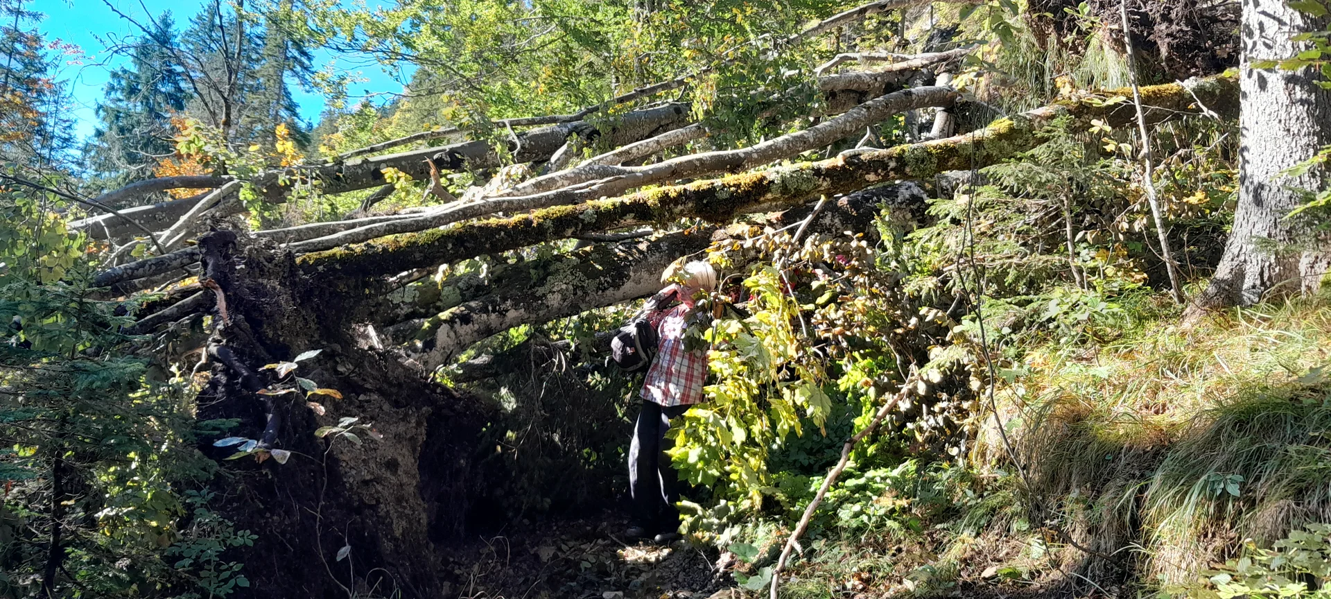 © Bergfreunde München FS