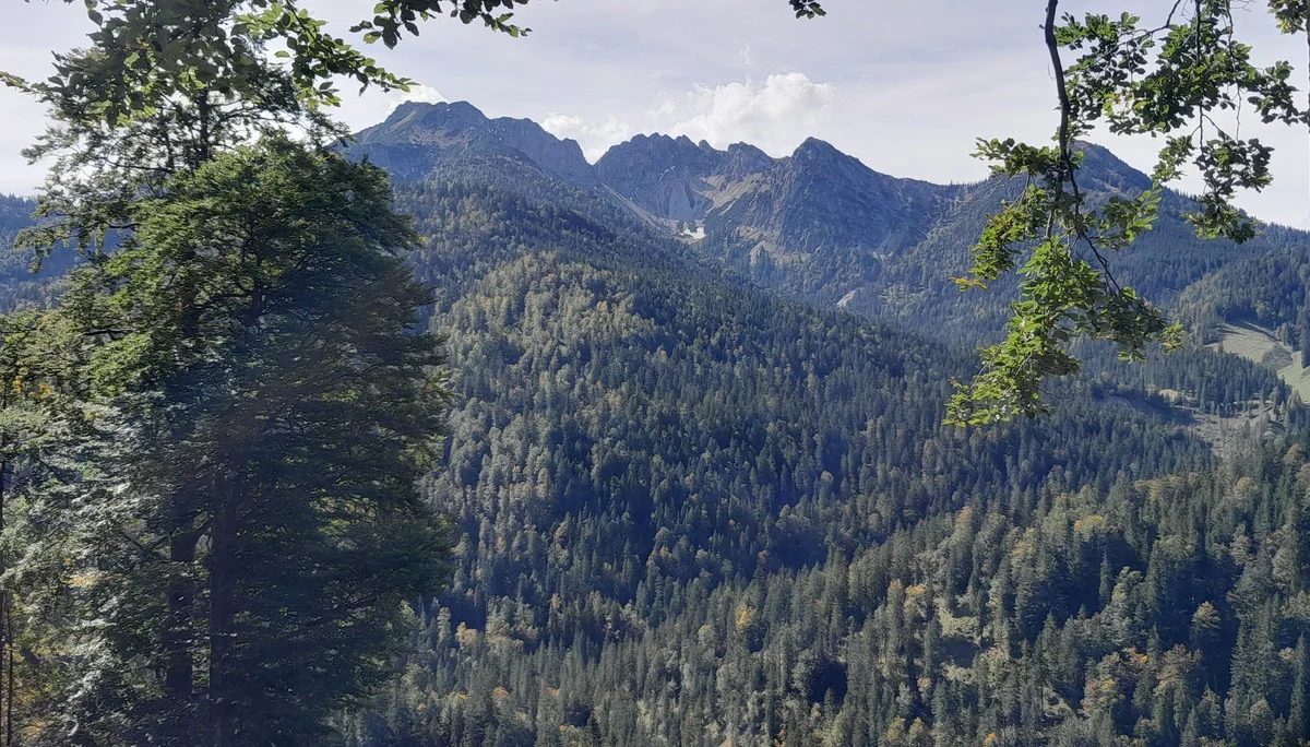 © Bergfreunde München FS