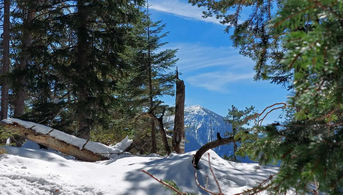 © Bergfreunde München WM