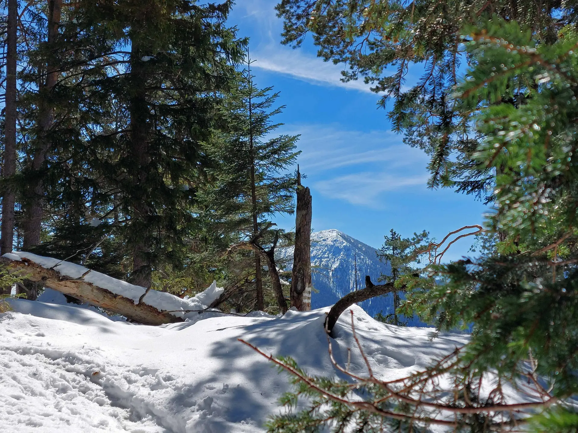 © Bergfreunde München WM