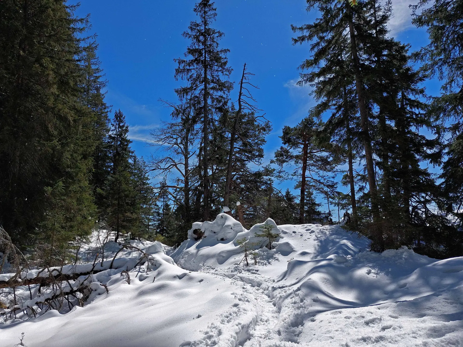 © Bergfreunde München WM