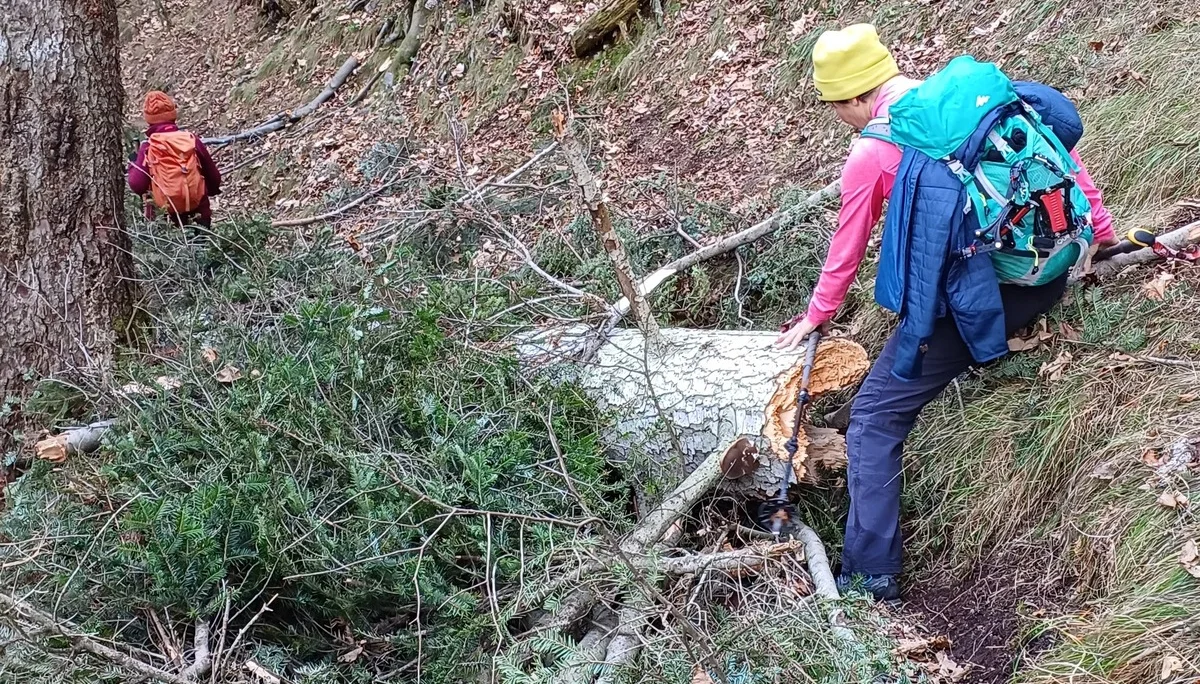 © Bergfreunde München HN