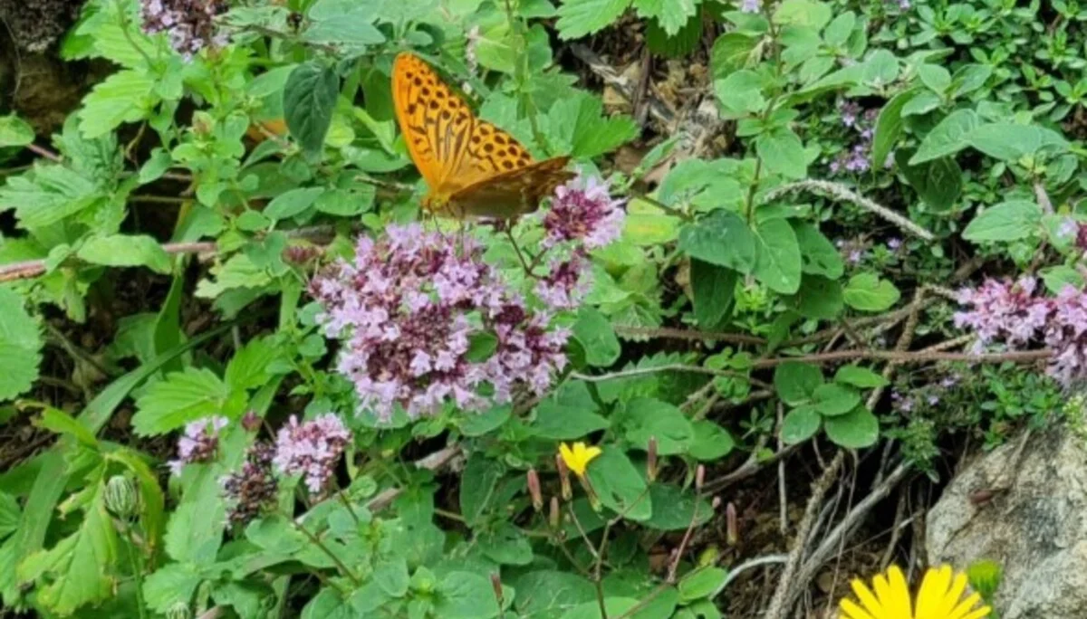 © Bergfreunde M+nchen