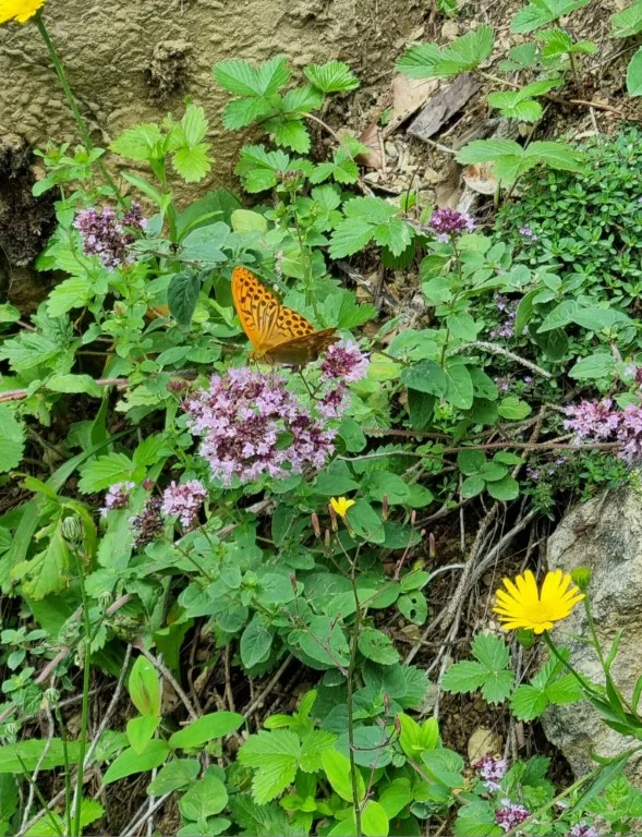 © Bergfreunde M+nchen