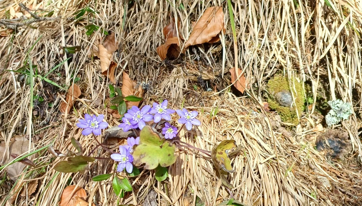 © Bergfreunde München HN