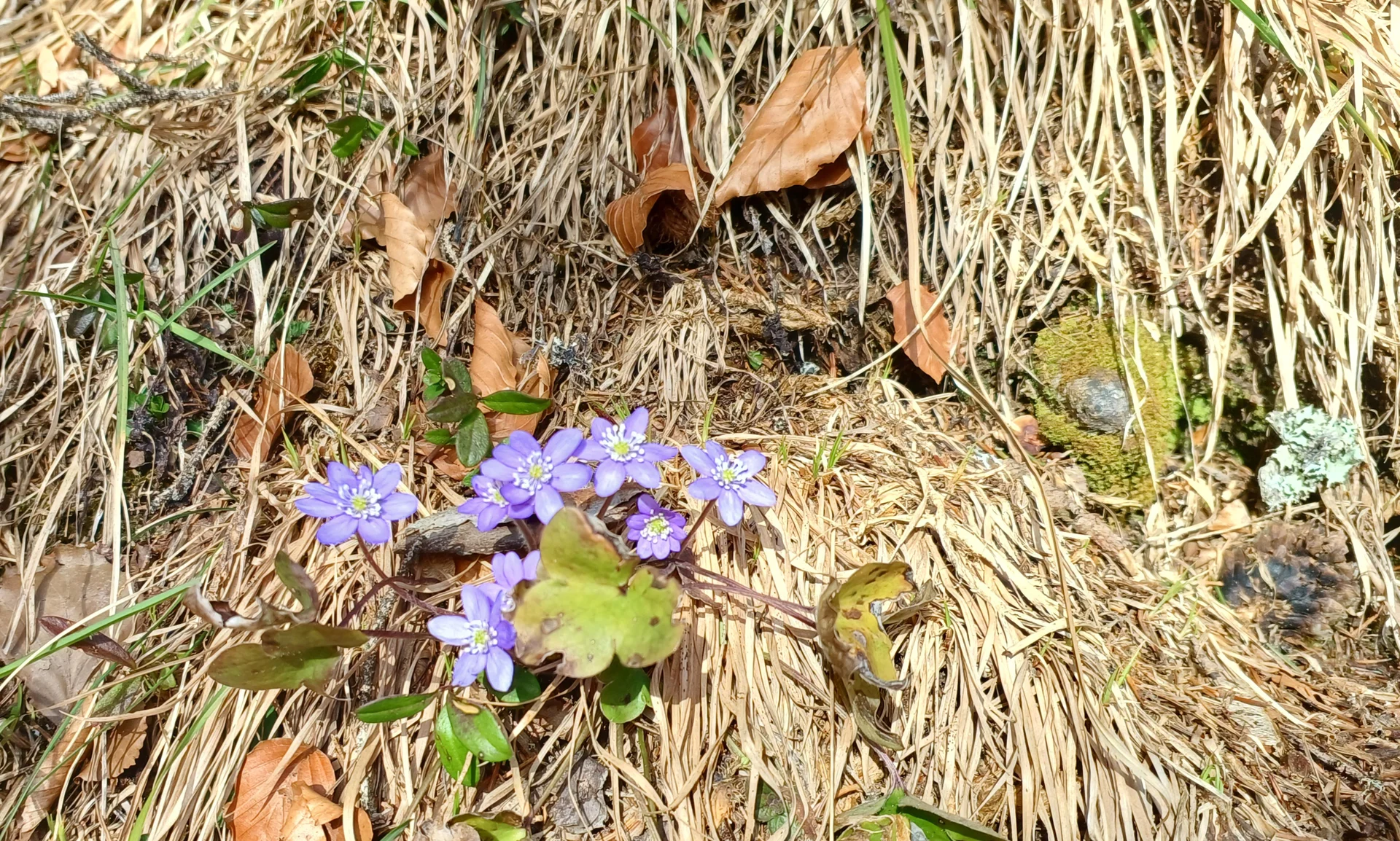 © Bergfreunde München HN
