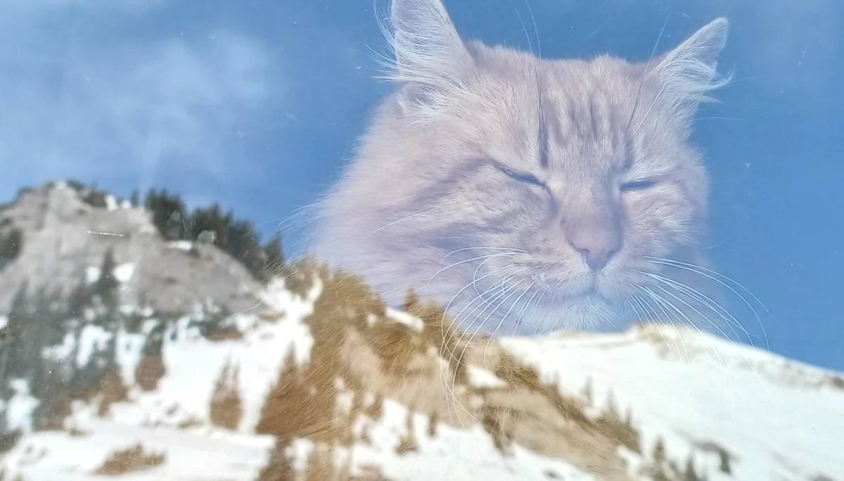 © Bergfreunde München HN