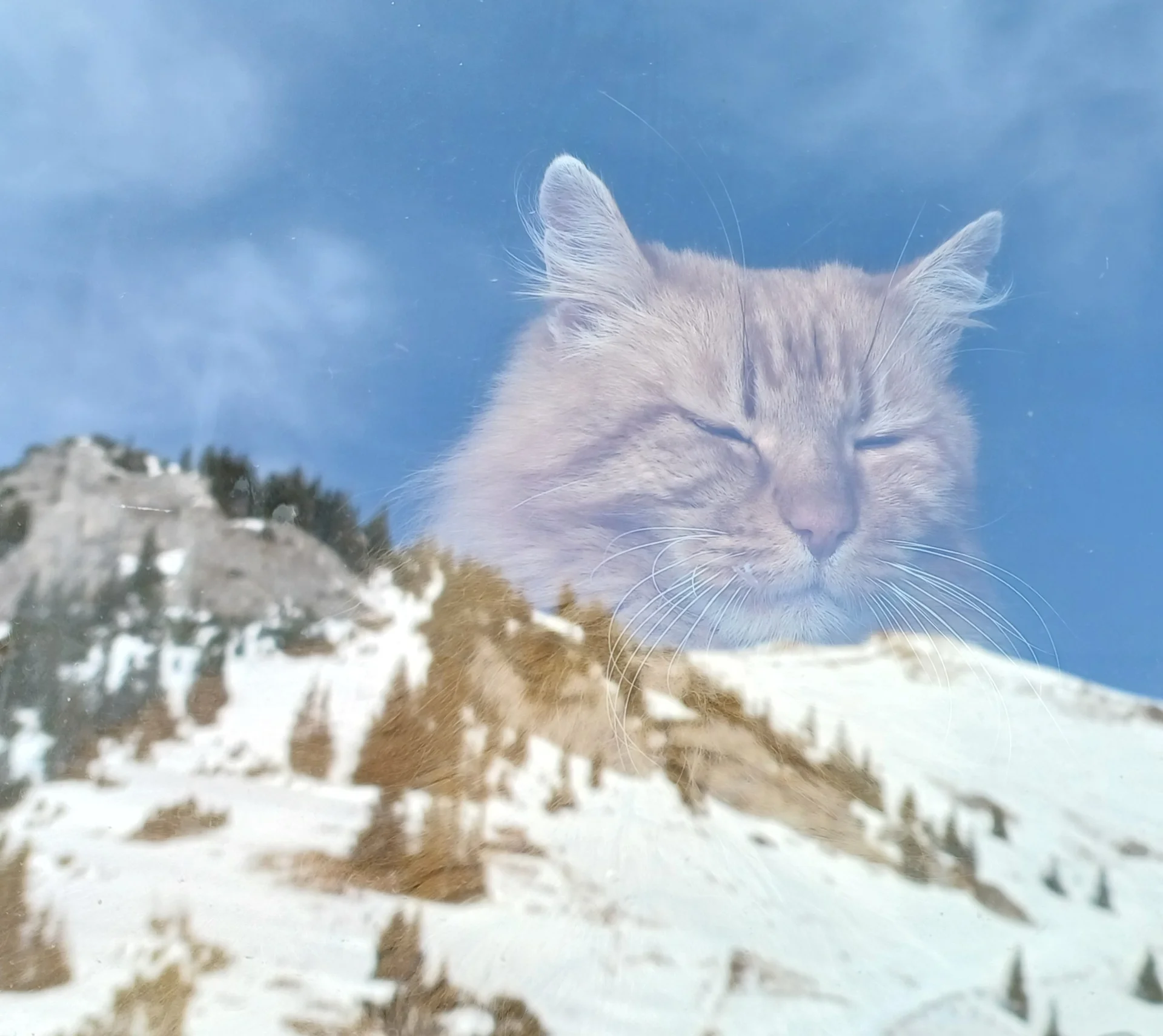 © Bergfreunde München HN