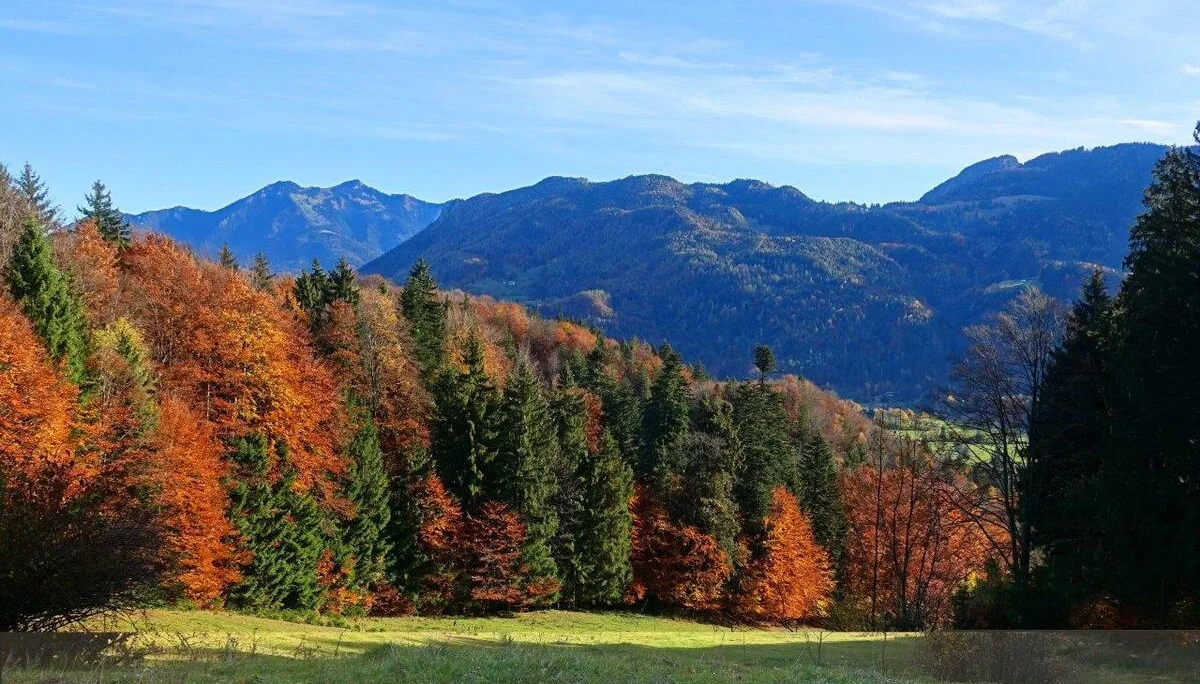 Abfahrtsschneise | © Bergfreunde München