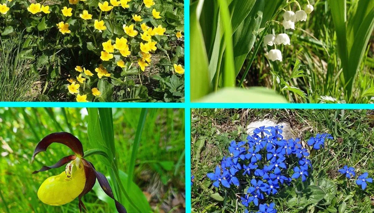 © Bergfreunde München