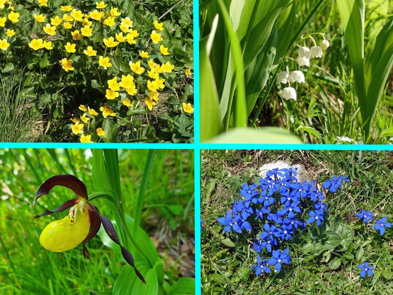 © Bergfreunde München