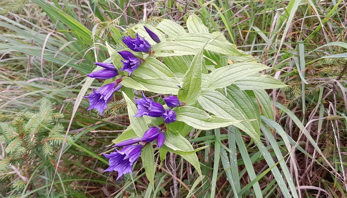 © Bergfreunde München JvU