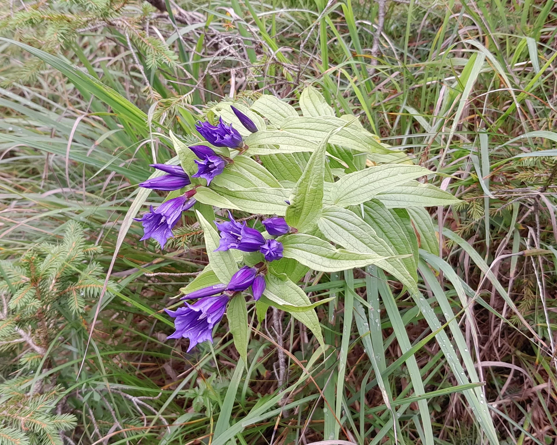 © Bergfreunde München JvU