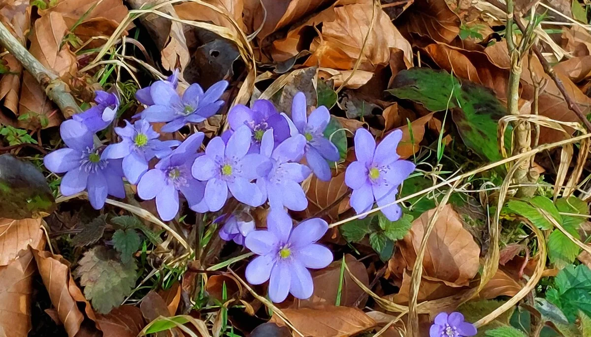 © Bergfreunde-Muenchen WM