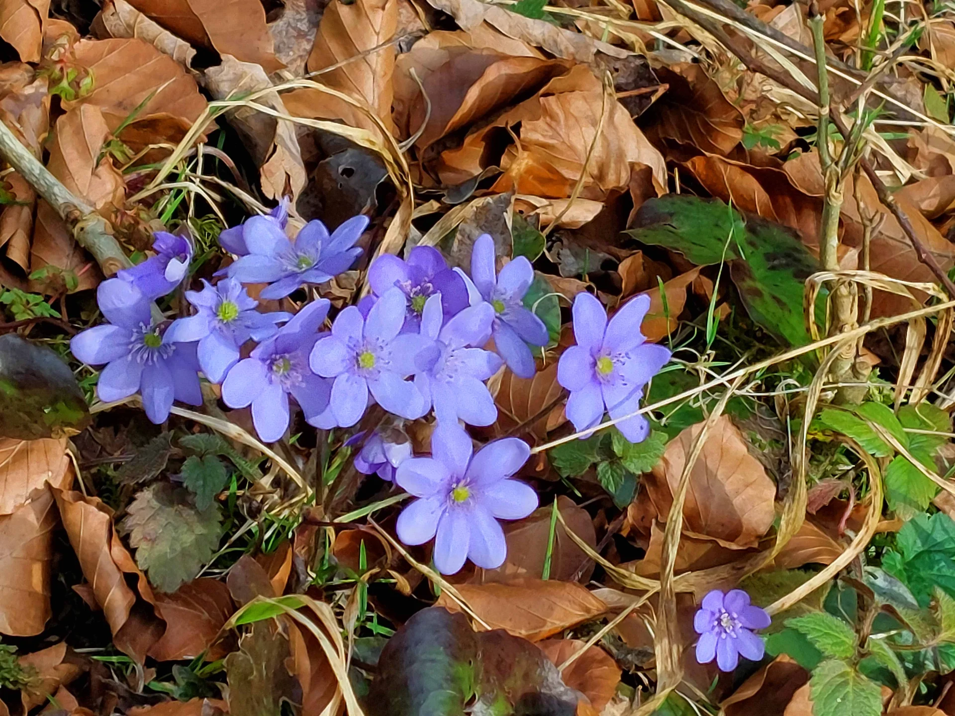 © Bergfreunde-Muenchen WM