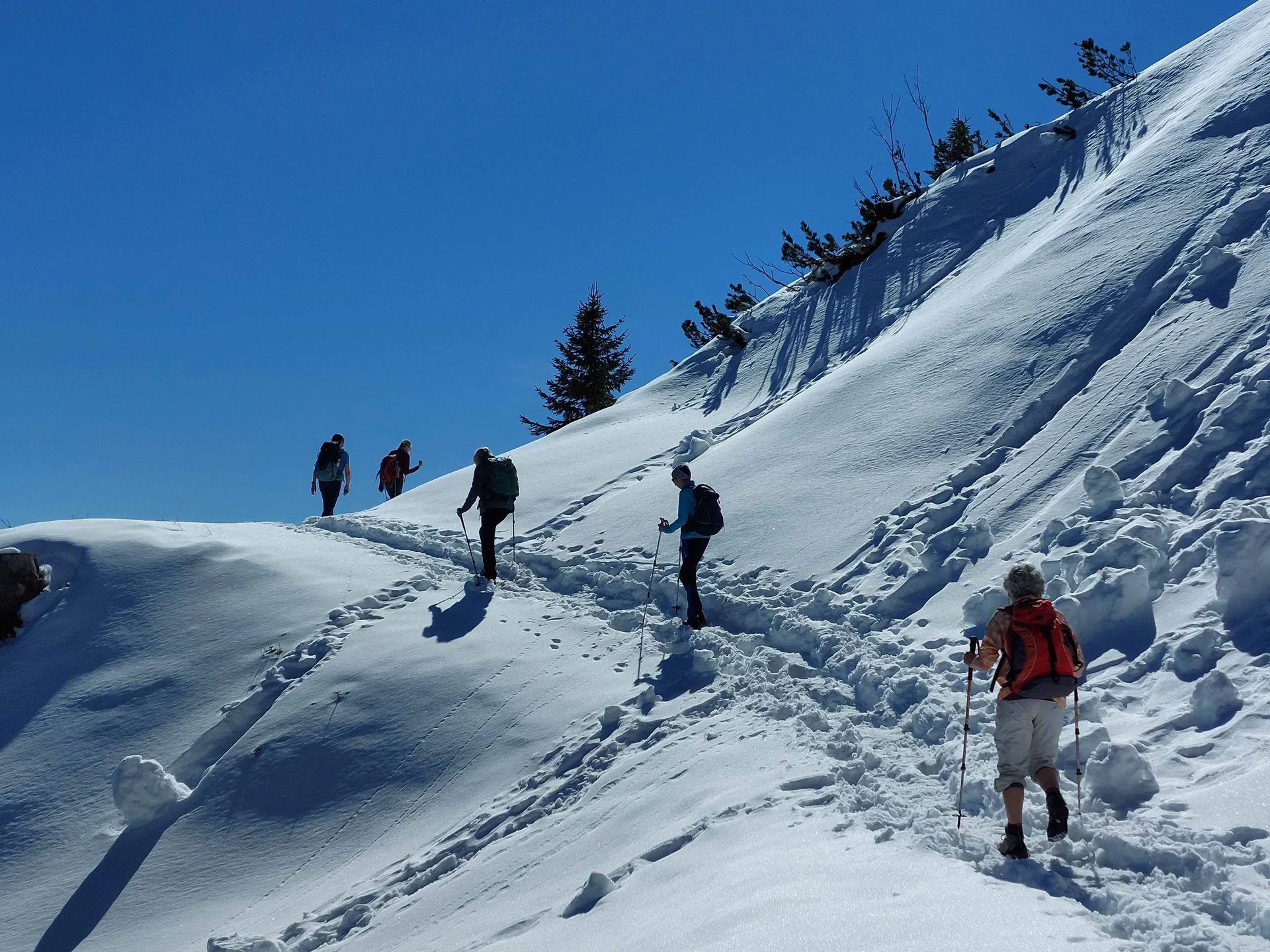 © Bergfreunde-Muenchen WM