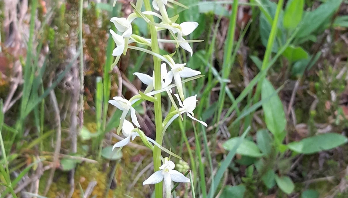 © Bergfreunde München ms