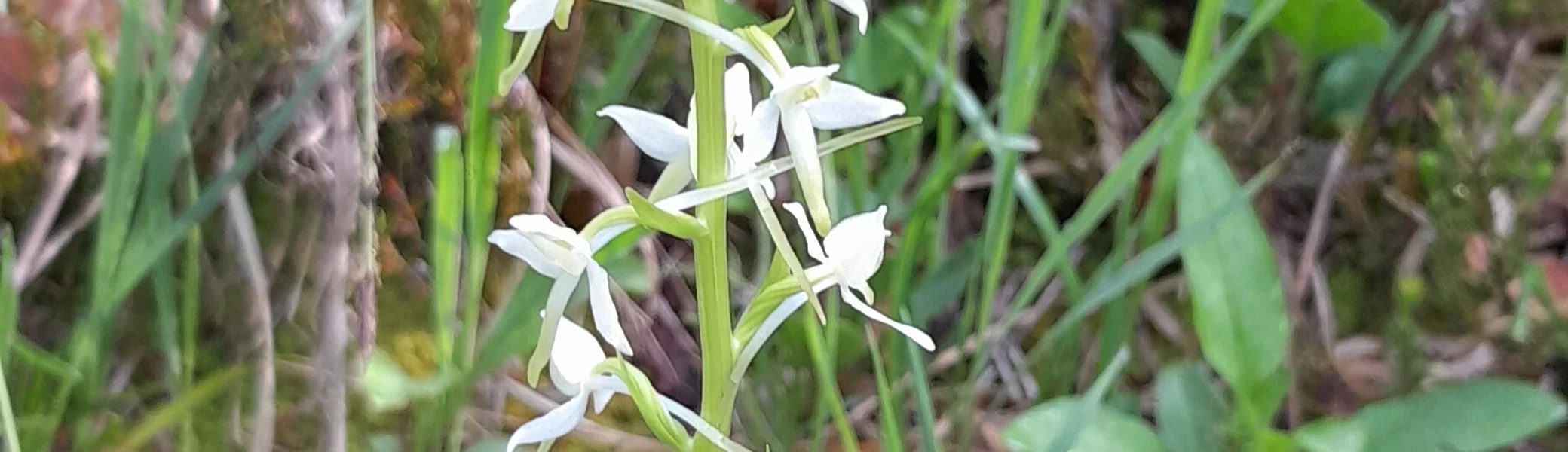 © Bergfreunde München ms